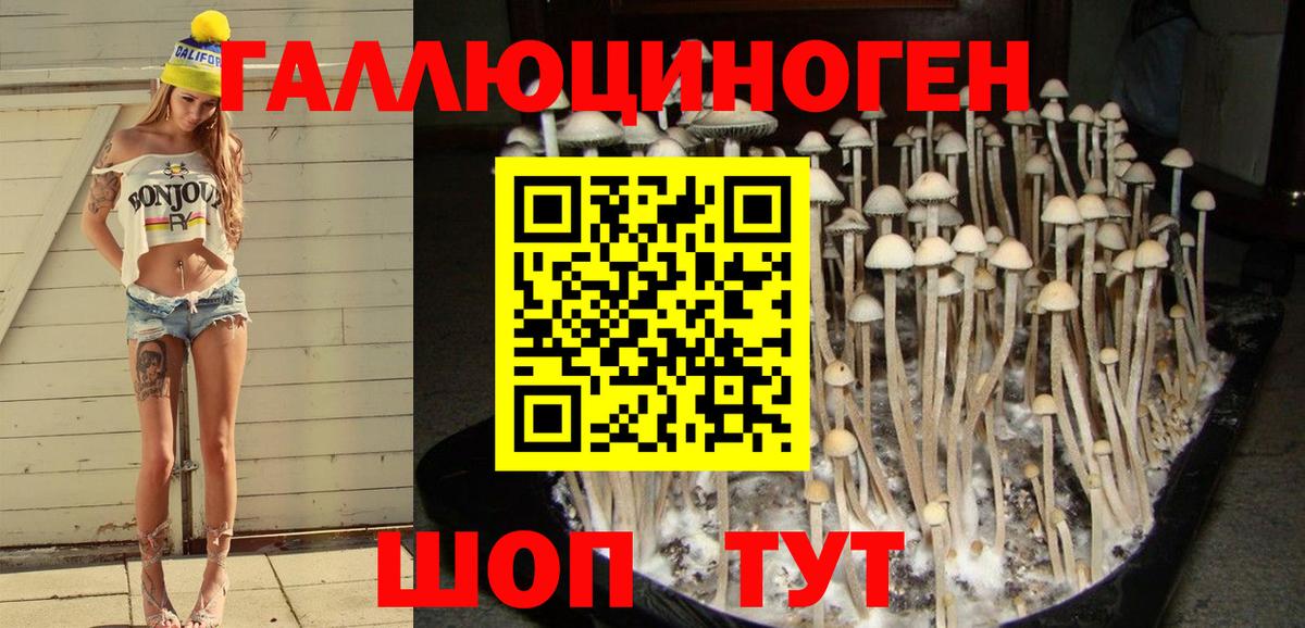 Псилоцибиновые грибы мухоморы  Вход с VPN  Кузнецк 
